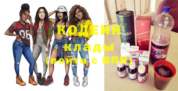 дурь Пересвет