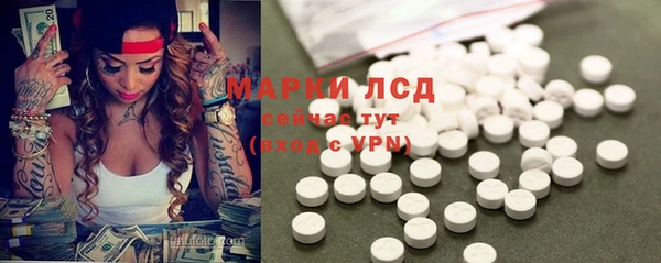 дурь Пересвет