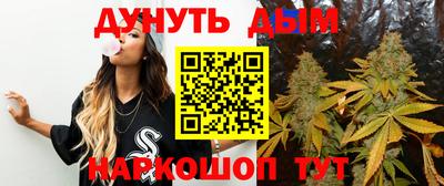 шишки Аргун