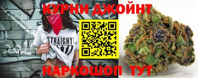 шишки Аргун