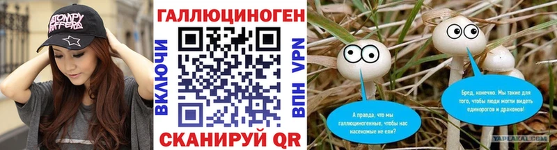 где найти   Ахтубинск  Псилоцибиновые грибы MAGIC MUSHROOMS 