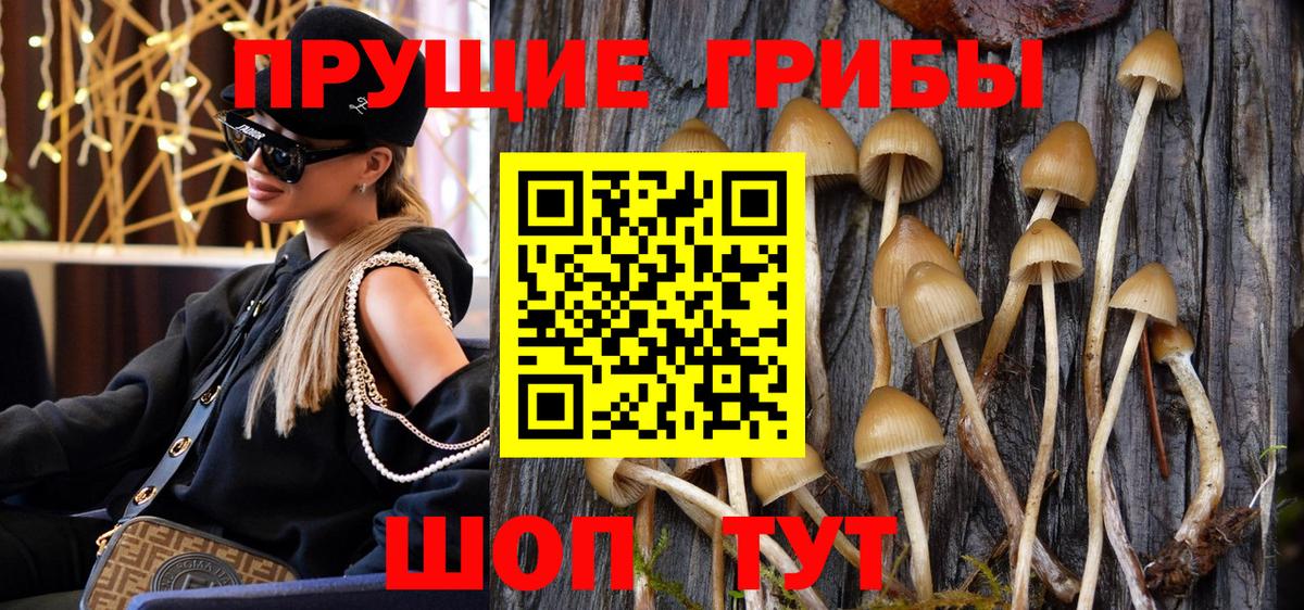 Галлюциногенные грибы MAGIC MUSHROOMS Ахтубинск