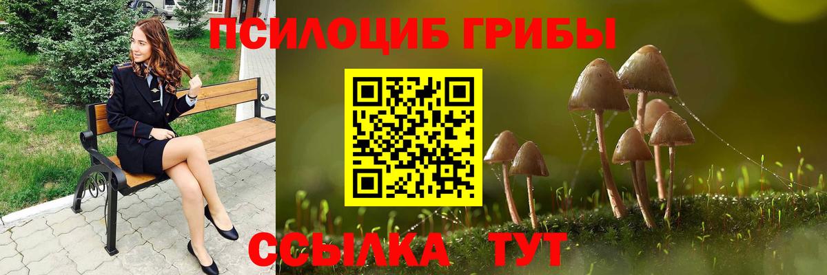 Псилоцибиновые грибы Magic Shrooms  Ахтубинск 