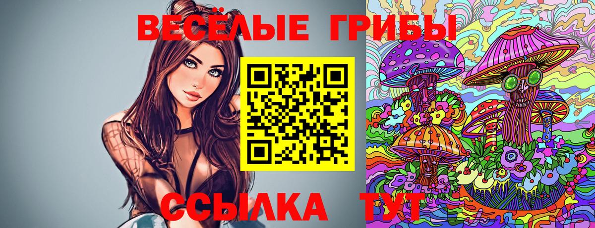 Ахтубинск  Галлюциногенные грибы прущие грибы  Вход с VPN  Галлюциногенные грибы прущие грибы 